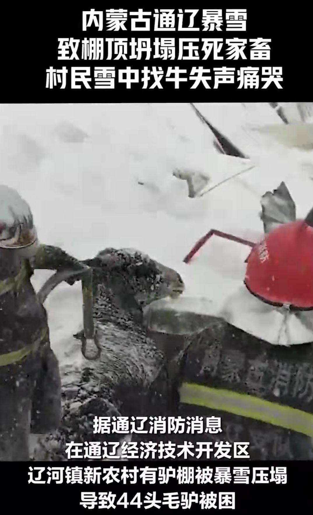浴血奋战严寒,内蒙古通辽遭遇雪灾