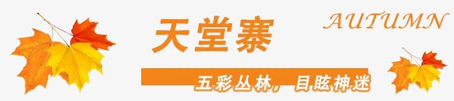 黄山秋景几月去最好,秋天几月份去黄山最好看的花海