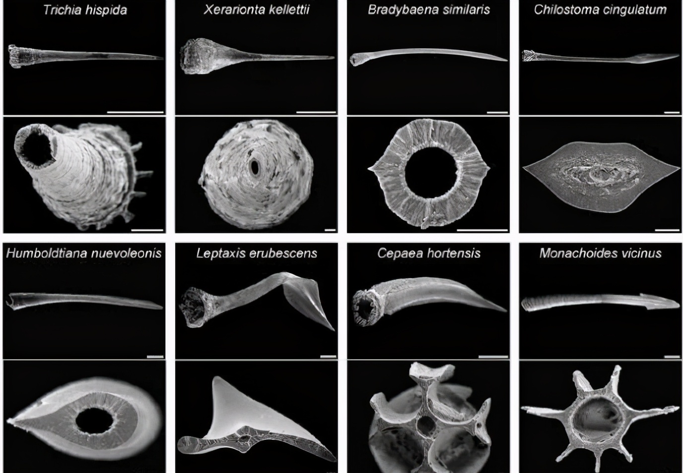 闆岄泟寮備綋鎬庝箞绻佹畺,闆岄泟寮備綋濡備綍绻佹畺