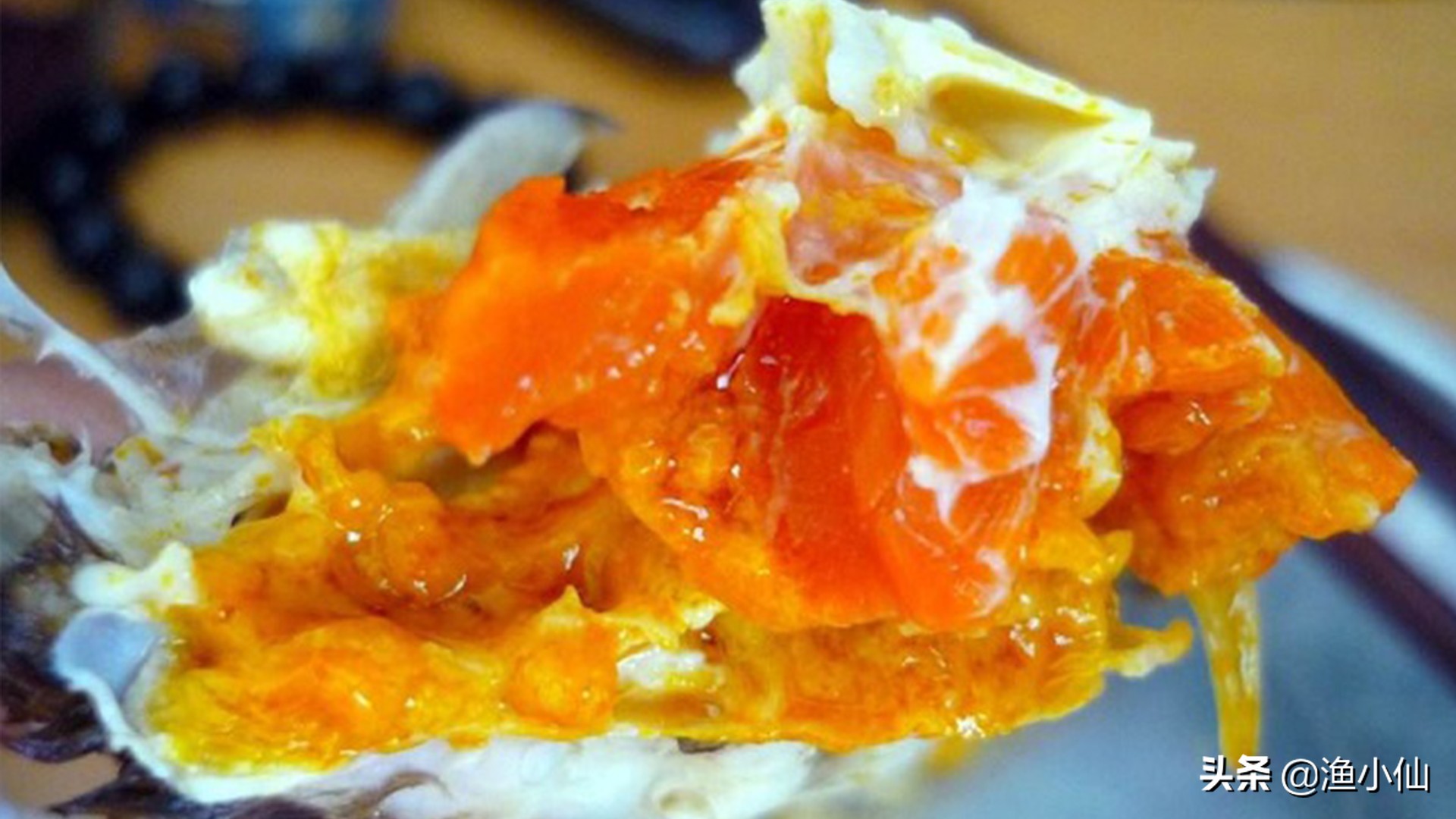 螃蟹的蟹黄和蟹膏是什么,为什么螃蟹又有蟹黄又有蟹膏