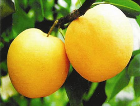 烫伤小知识卡通图片,烫伤小知识安全教案