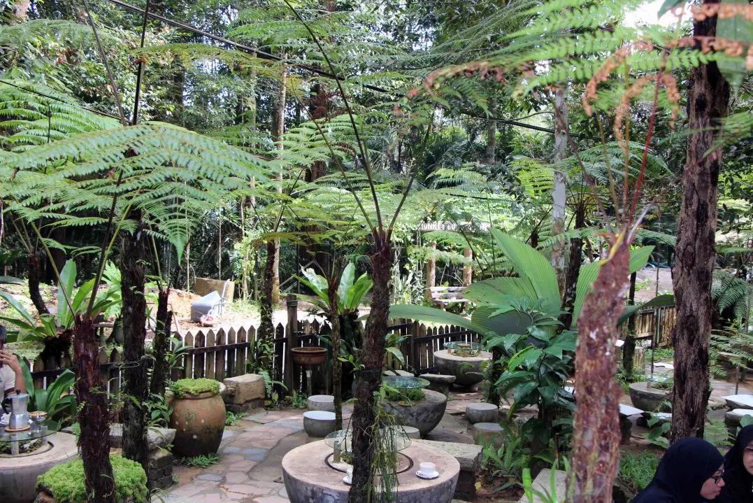 槟城旅游美食美景,槟城旅游攻略美食攻略