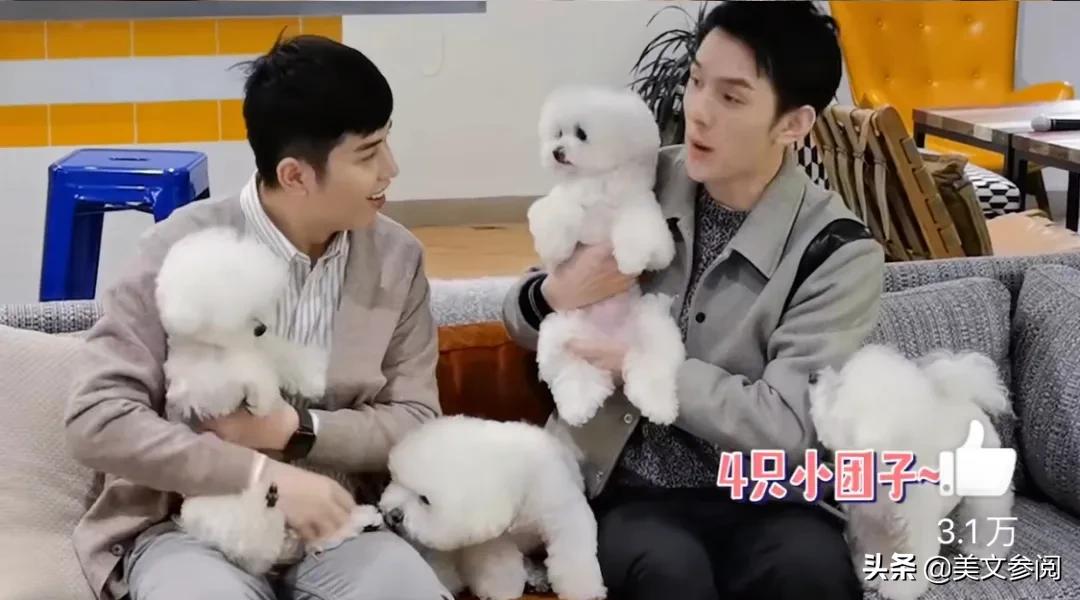 李佳琦和小助理在一起吗,李佳琦和小助理相爱相杀