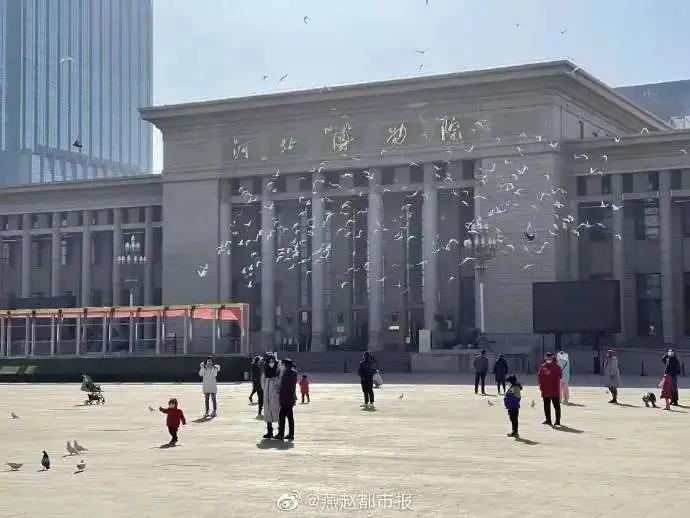 石家庄重启ing,石家庄重启后的现状