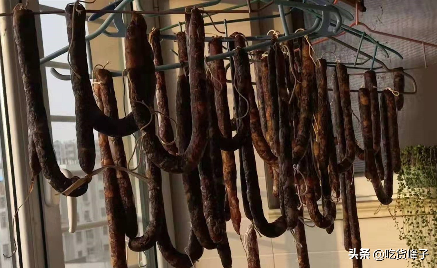 晾好的香肠煮香肠的正确方法,腌制的好的香肠直接晾晒