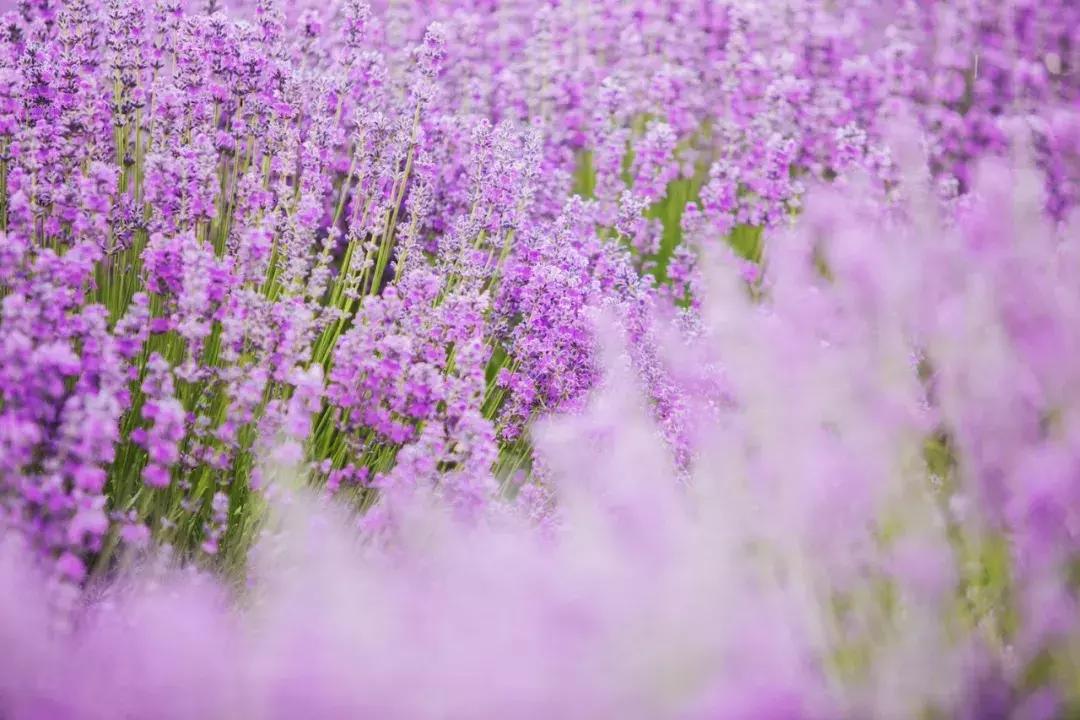 跟着cc一起去旅行吧,跟着摄影团去旅游