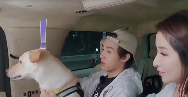 萧亚轩被狗咬左边脸还是右边脸,萧亚轩被狗咬后的恢复状态