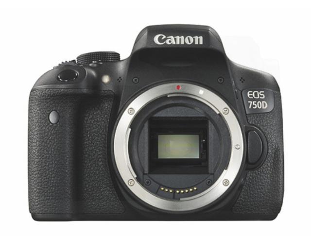 适合新手用的单反推荐便宜一点的,最便宜又实用的单反