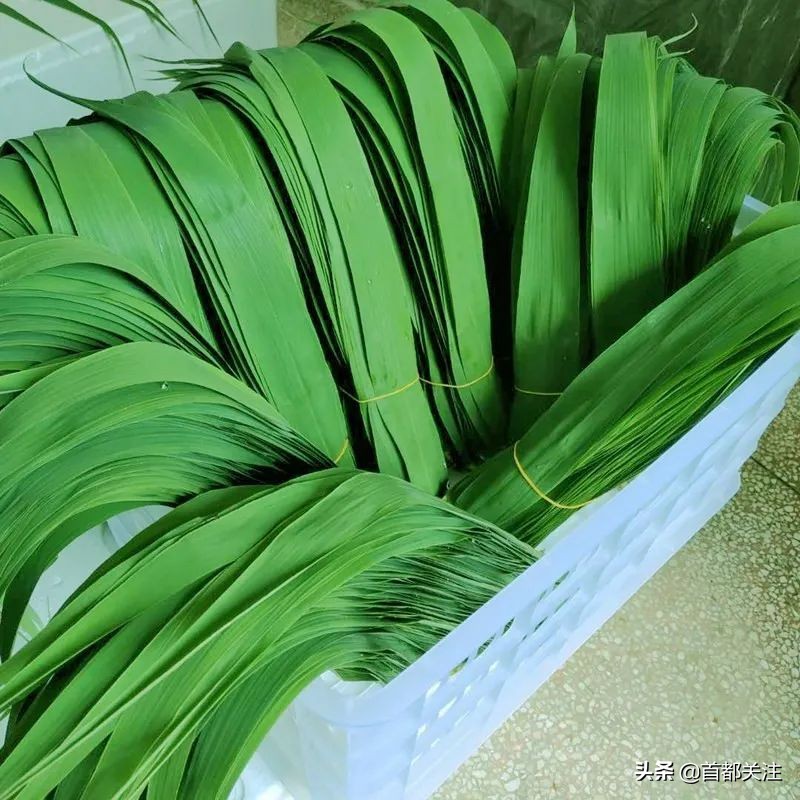 古人“防疫日”,又闻草木香,今日端午,愿您安康