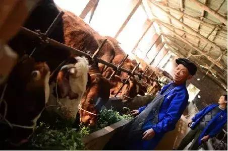 10块钱能吃遍宜宾这个镇？还有这些城头人不晓得的…