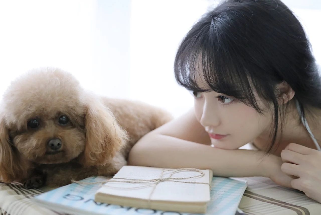 泰迪的故事与教育启示美篇,泰迪的故事与启示