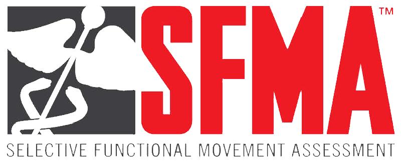 一个治疗师的力量训练之路