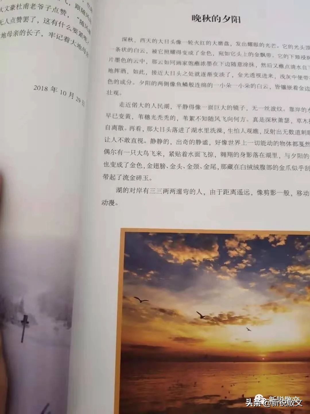 最美乡村故事与乡村风景,这是一个有关故乡的故事