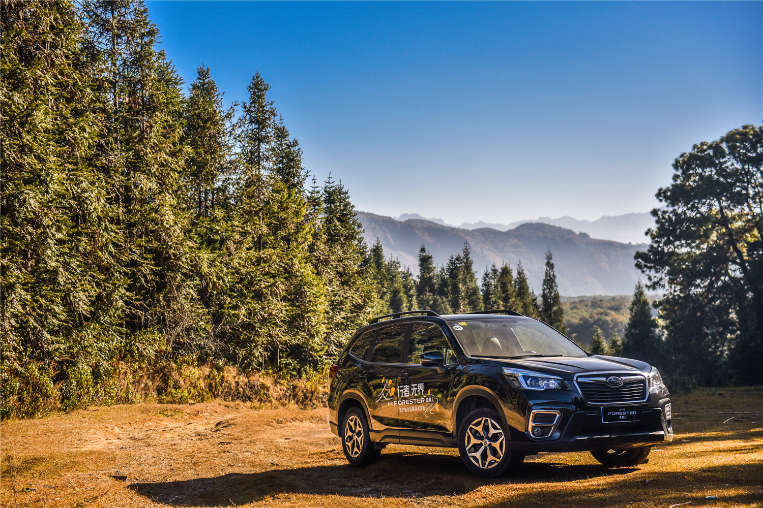 2.0自吸cvt的车能买吗,2.0cvt森林人