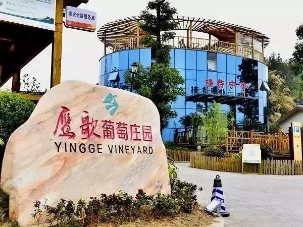 4天，在通江能做些什么？