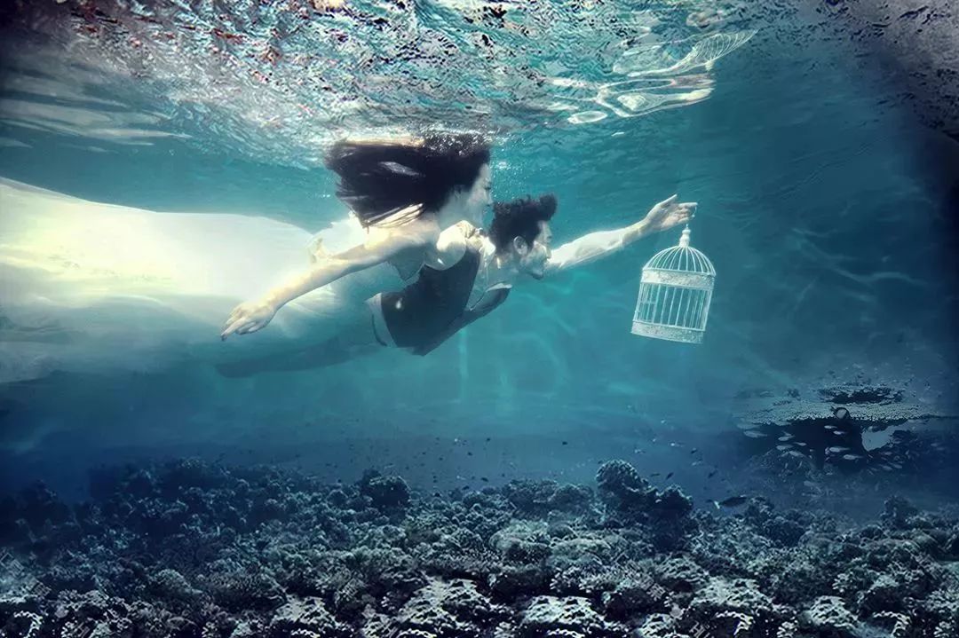 引爆星城！三亚仙气十足的水下摄影来长沙啦~湖南卫视率先取景