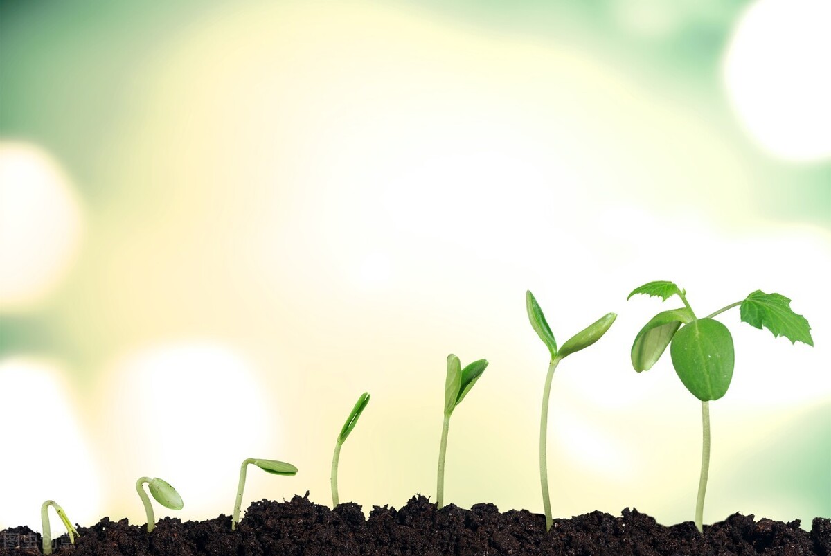 素质教育的基本内涵详细解释,素质教育面向全体学生的反面案例