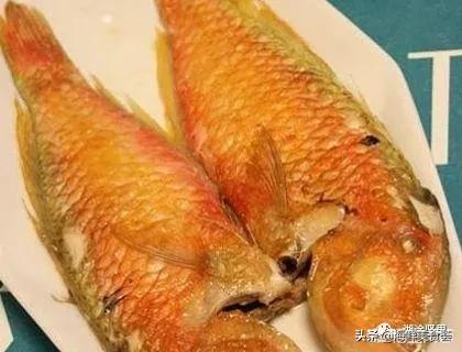 十种最便宜的海鱼,常见海鱼价格排名大全