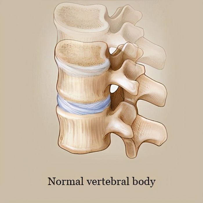 用了激素的人,用过激素药的人