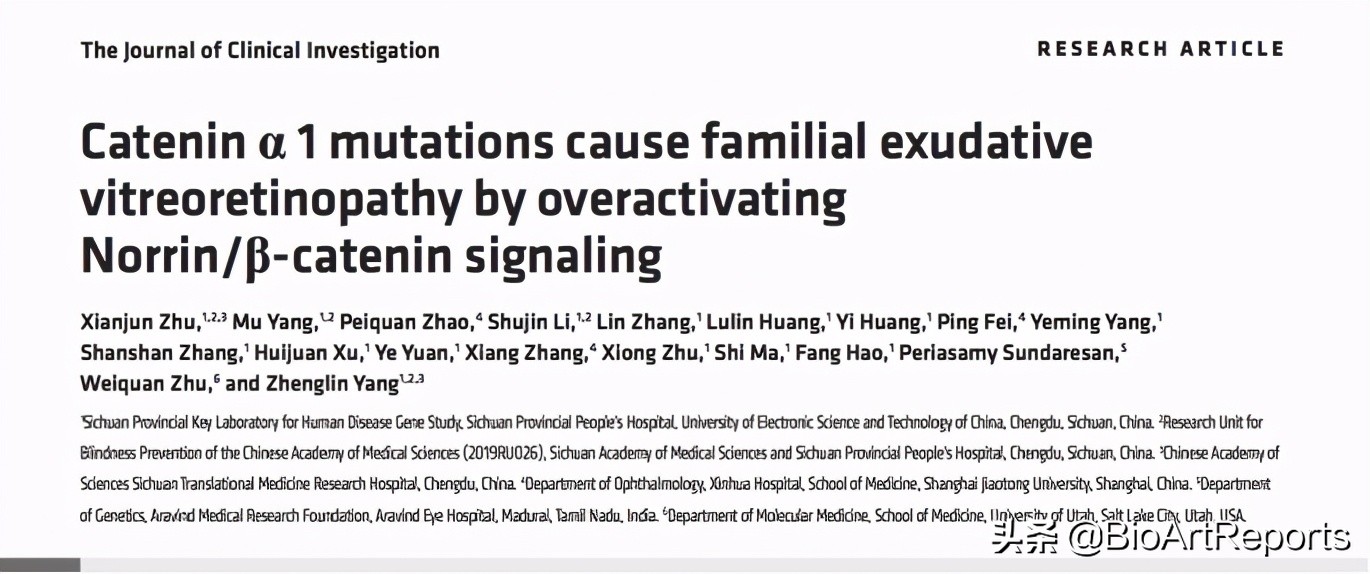 家族性视网膜病变是怎么回事,基因治疗视网膜病变最新进展