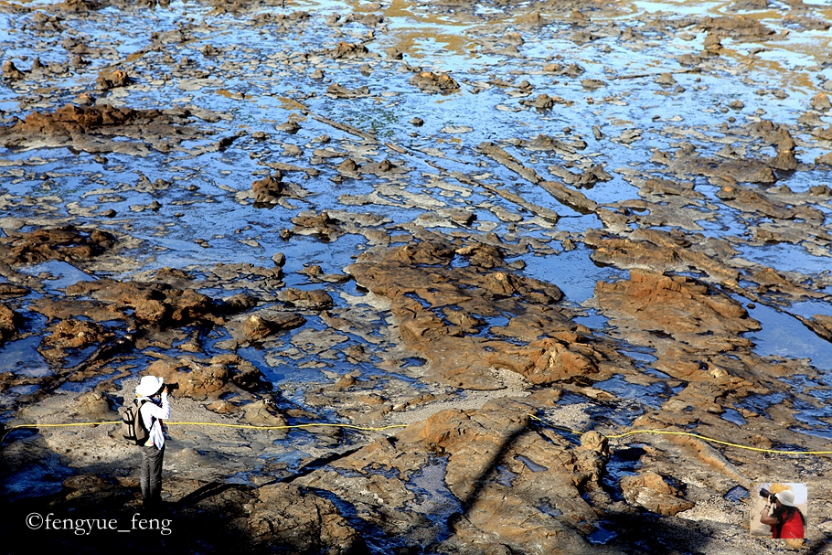 新西兰有哪些景观,新西兰风景最好的地方在哪里