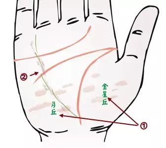 掌纹诊病图片,掌纹能查出糖尿病吗