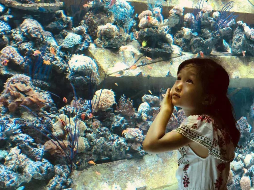 带娃去过10次三亚，总结出这篇超详细三亚旅行攻略+酒店评测