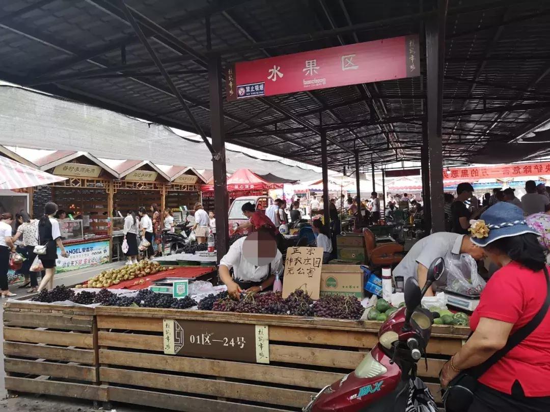 韩城市芝川镇神农葡萄庄园,韩城神农庄园葡萄酒电话