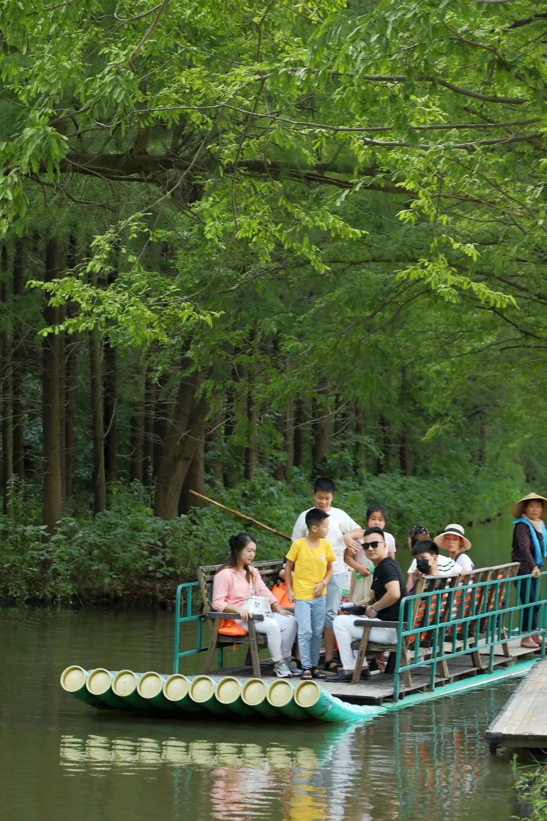森氧之地,秋游必选!金湖万亩水上森林,真的别有趣味
