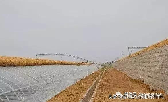 建一个温室大棚大概需要多少人工,温室大棚建造前景