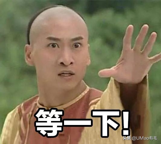 猫咪特别小如何分辨它是不是矮脚,什么小猫咪又乖又掉毛少