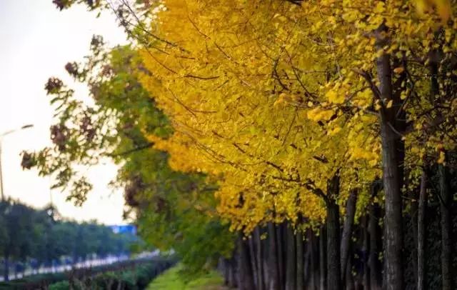 家在北仑,我有一个家北仑