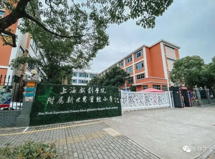 上海各区学校合并最新规划,上海将改名的学校