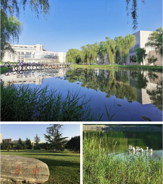颜值爆表!28万平绿地,55%绿化率,来看西安这所园林式高校
