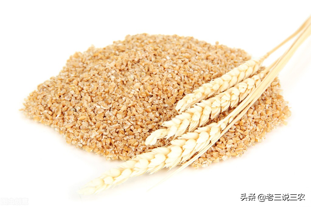 麸皮受潮生虫怎么治疗,麸皮生虫怎么办