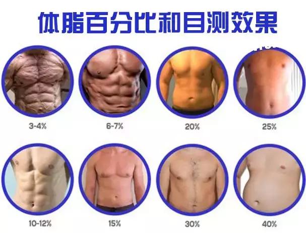 体测仪的体脂率准吗,空腹体测体脂