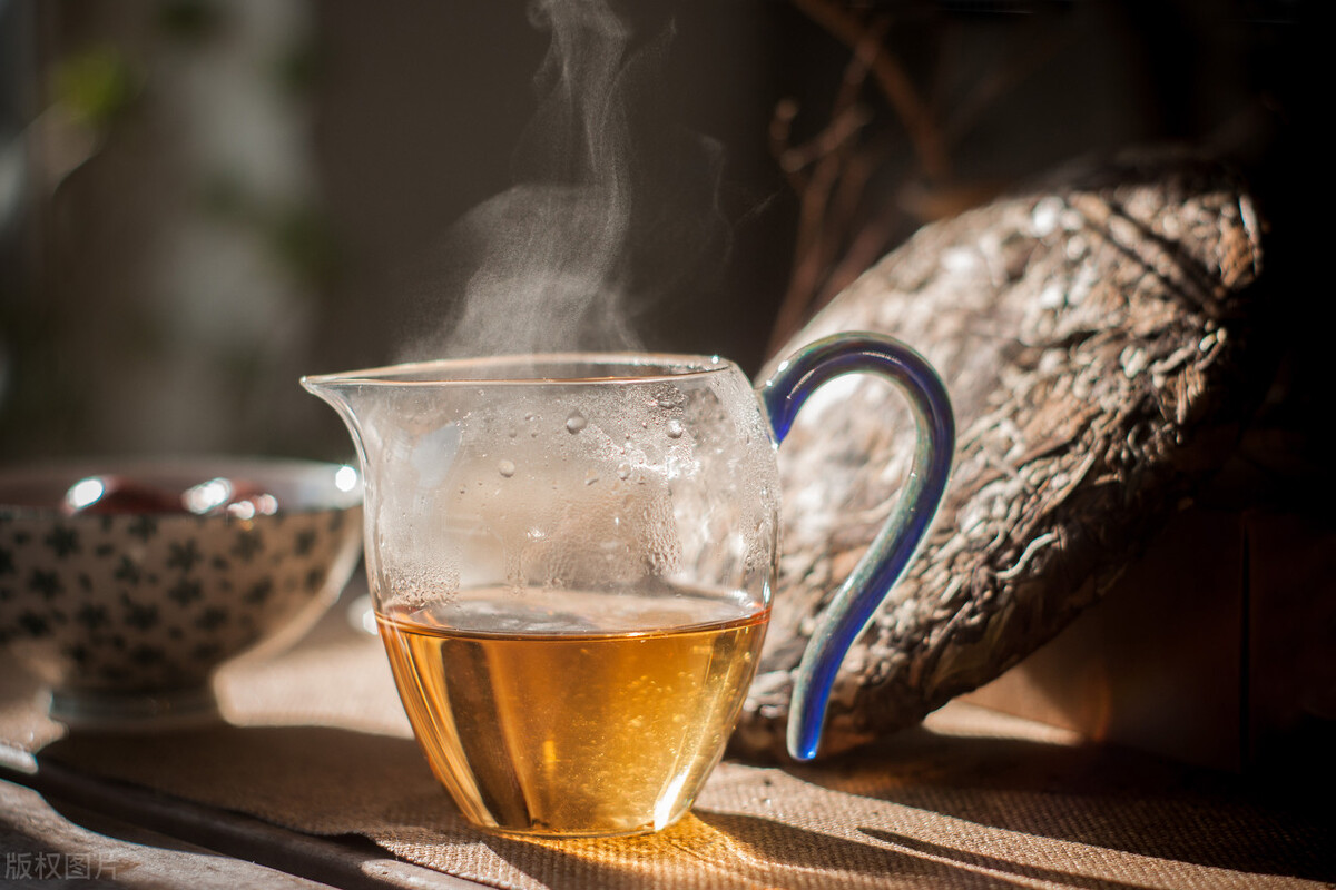 福鼎白茶会火什么程度呢,福鼎白茶怎么火了呢视频