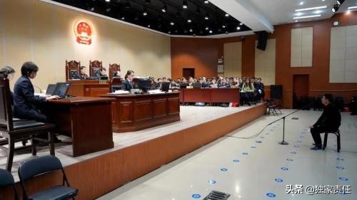 明星村官,明星村官电视剧全集在线观看