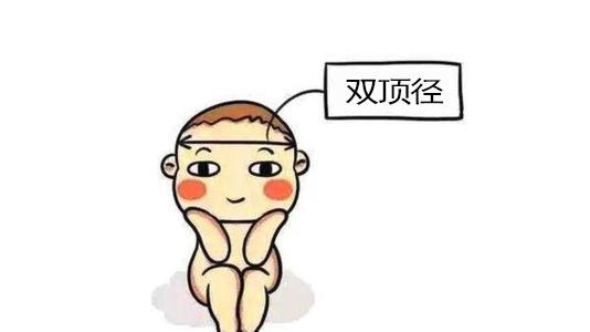24周双顶径偏大小脑横径偏小,为什么宝宝双顶径偏大头围偏小