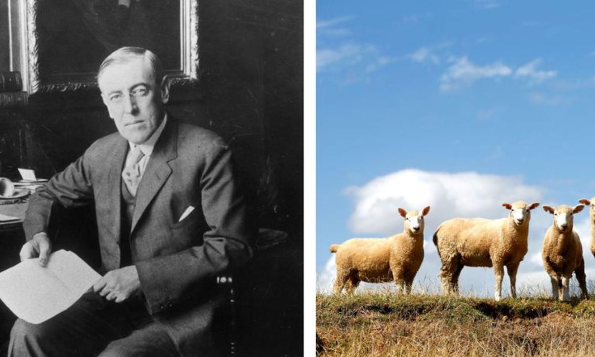 白宫动物简史：鸡、猫、狗、鸟、马、鼠、浣熊，甚至还有鬣狗