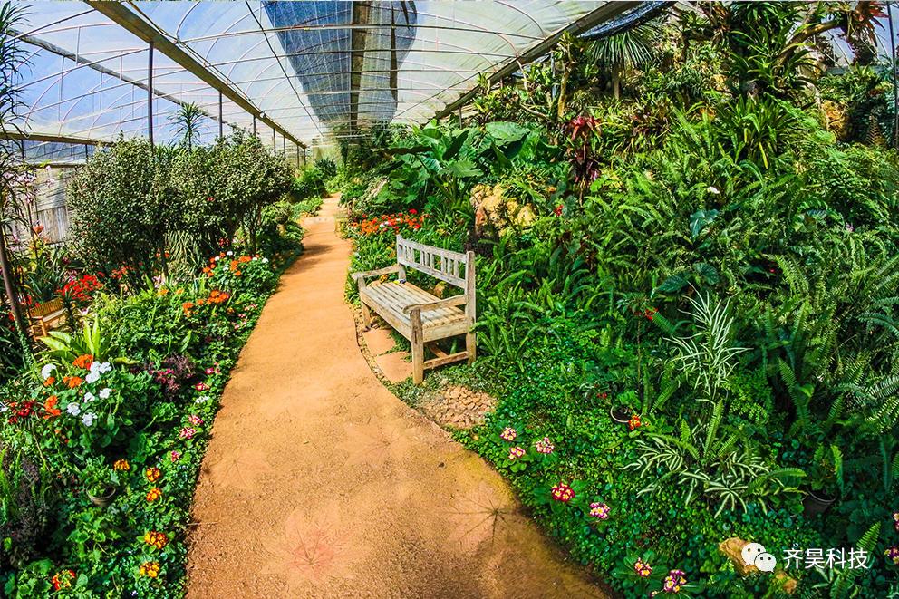 温室花卉科学种植,温室花卉盆栽蔬菜种植方法