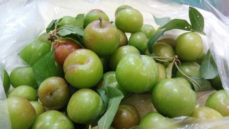 广西河池美食小吃舌尖上的广西,河池南丹特色菜