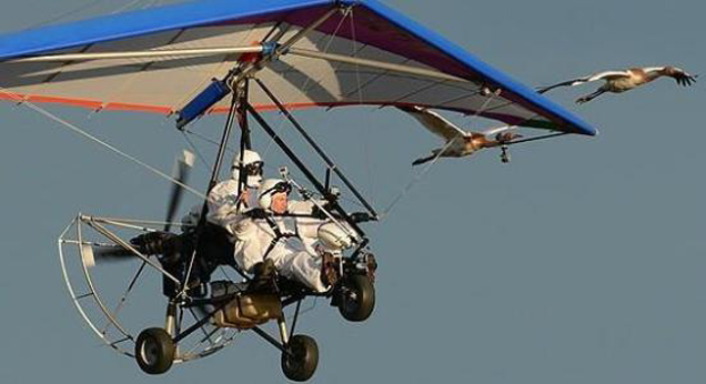 在乡村做什么可以赚钱,乡村做什么生意比较赚钱