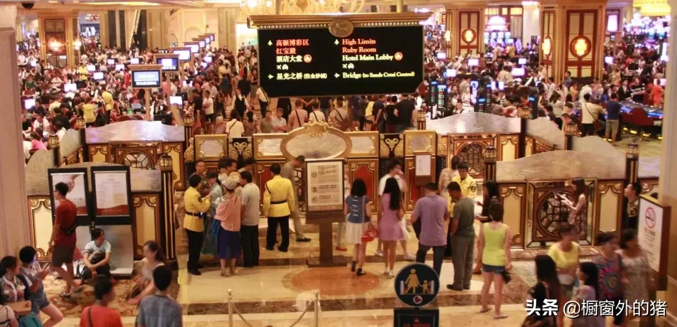 泰北玫瑰的英文,泰北玫瑰图片