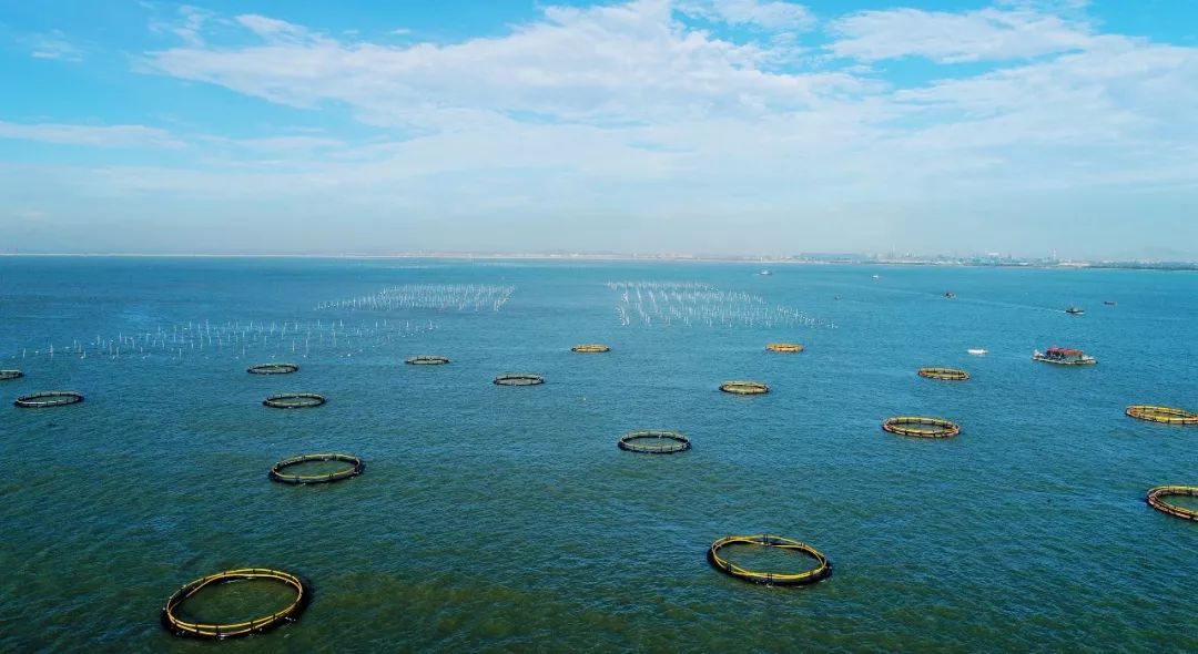 第4届日照海钓节,2019日照海钓节