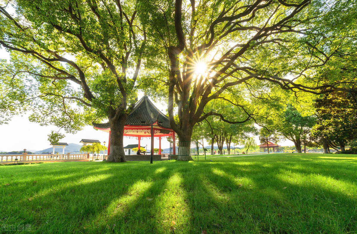 心理暗示力,心理暗示唤醒最好的自己小说