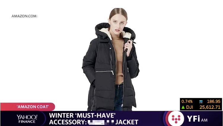 加拿大鹅羽绒服爆火起来了,比大鹅还火的羽绒服是什么牌子