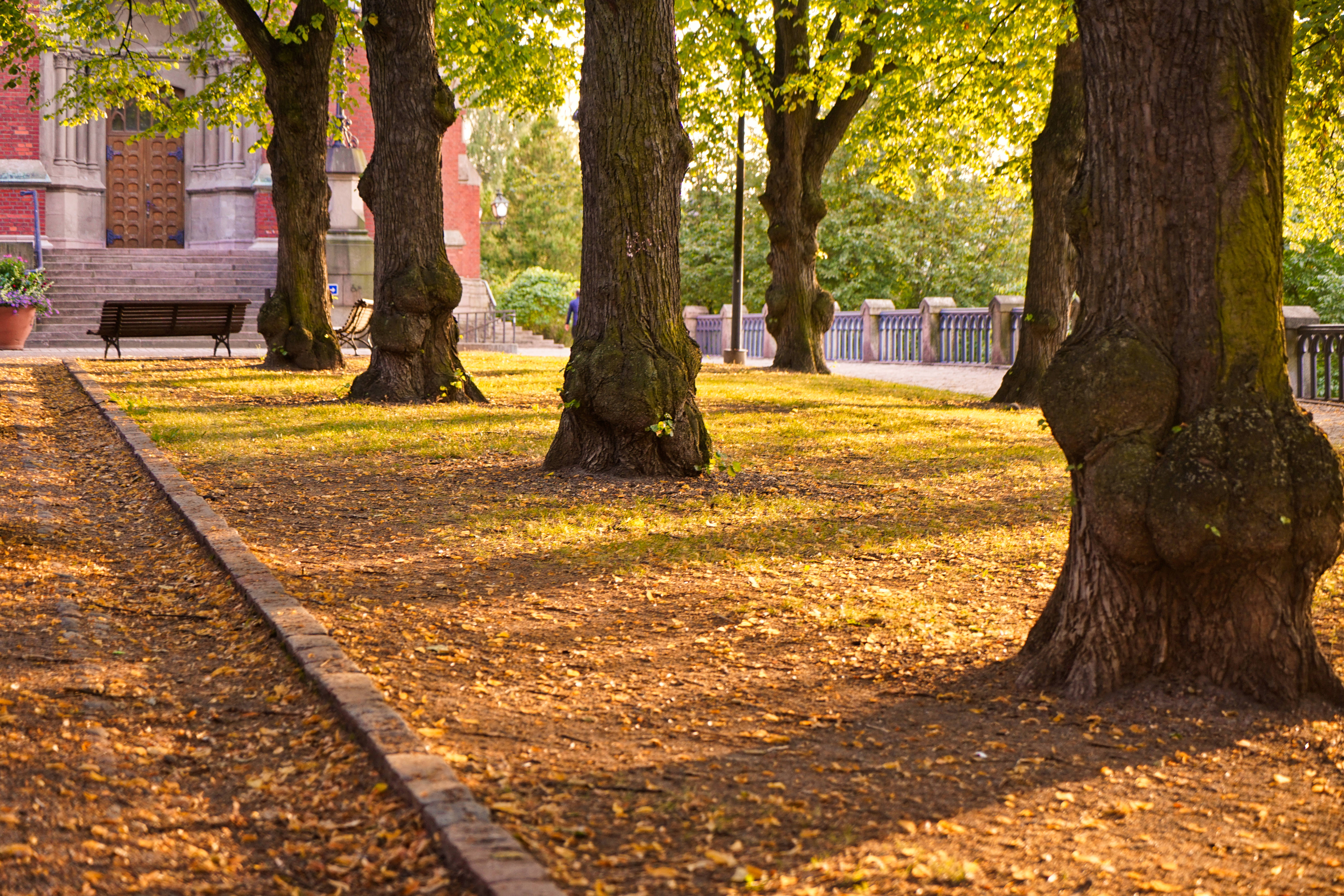 不会英语也能嗨的国家,不会英语能游遍世界吗