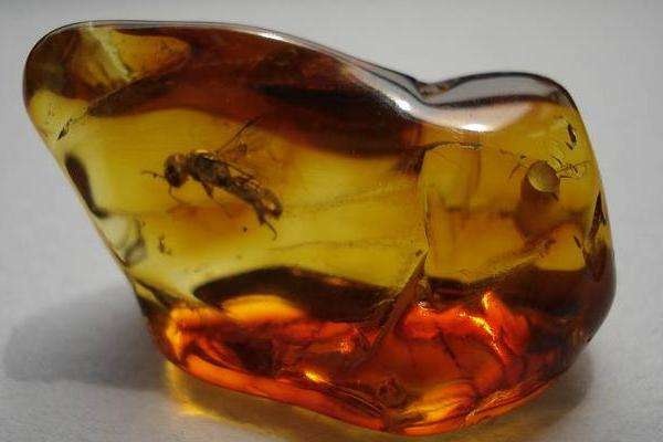 假蜜蜡是什么材料做成的,假蜜蜡和真蜜蜡有什么区别