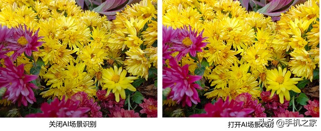 vivoy73s测评,vivoy73s重要参数详细